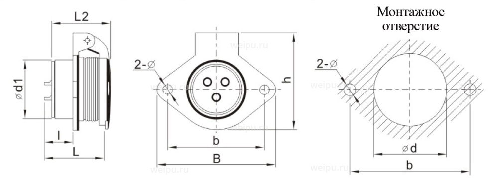Размеры WF55K4ZG1